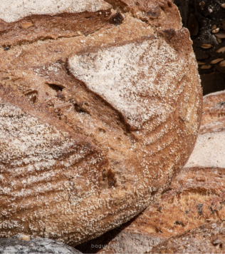 Naturalny zakwas z płaskurki Panvivo Farro (pieczywo, focaccia, pizza, pinsa, płaskie chlebki) - 0,25 kg Millbo Panvivo Sourdough Sensations