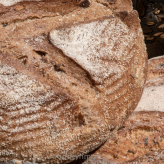 Naturalny zakwas z płaskurki Panvivo Farro (pieczywo, focaccia, pizza, pinsa, płaskie chlebki) - 0,25 kg Millbo Panvivo Sourdough Sensations