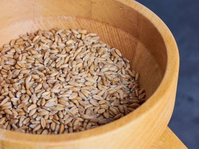 Mąka orkiszowa: właściwości, typy i czy ma gluten?